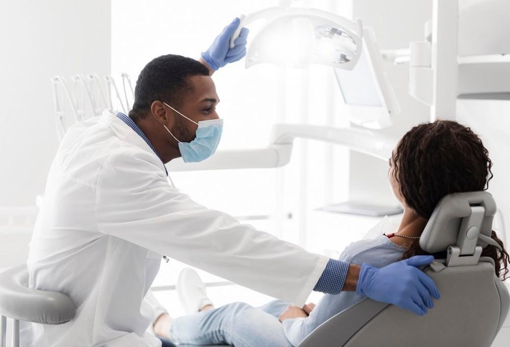 Inside of your teeth anatomy - Bayside Dental Arts